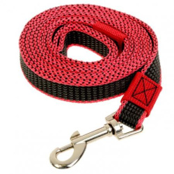 _1555592081 _1555592081