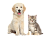Витамины для животных