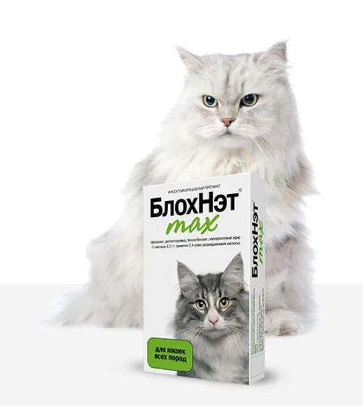 6c8a2bc3_cac2_11e8_8107_60a44cc96203_ddcb1e04_d0c2_11ef_9f0a_74563cd40ac2