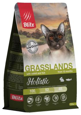 Blitz-Holistic-Grasslands-Rabbit-Fish-Adult-Cat-15
