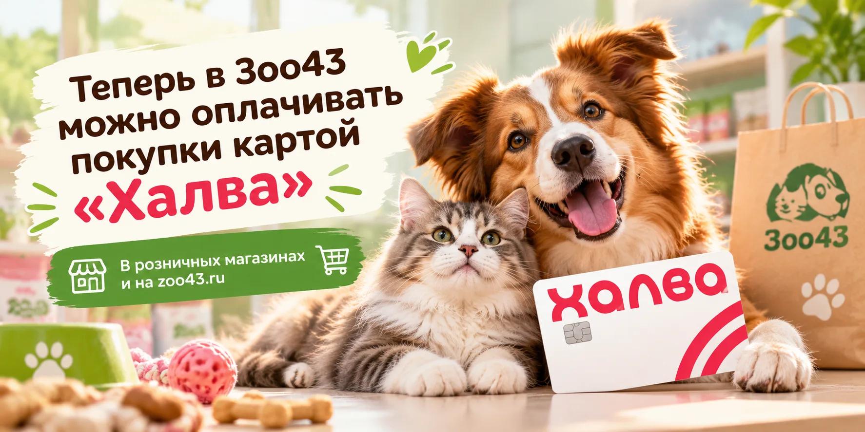 В Зоо43 появился новый способ оплаты — карта «Халва»! В Зоо43 появился новый способ оплаты — карта «Халва»!