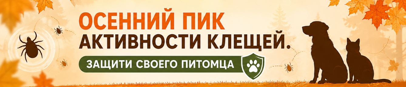 Сверху под шапкой