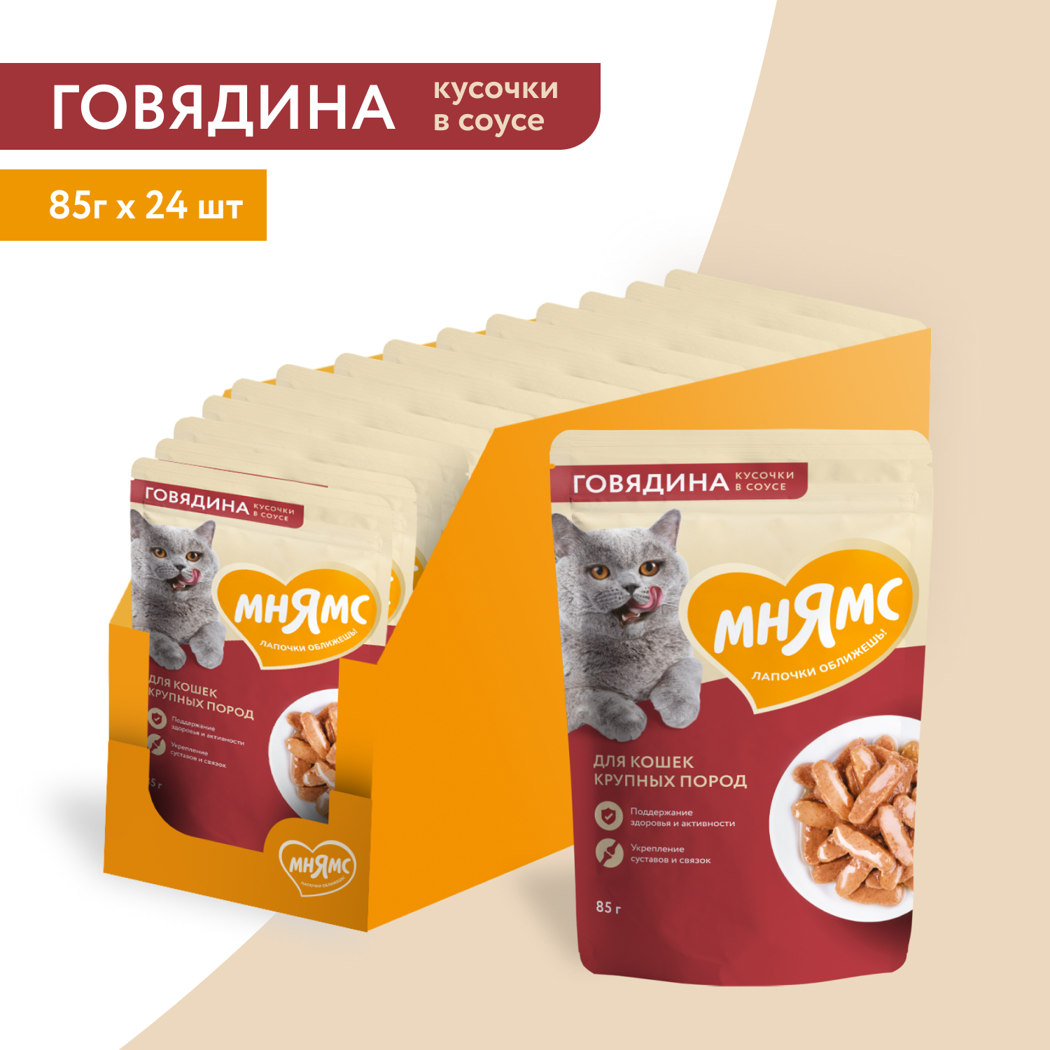 Мнямс пауч Кусочки в соусе с говядиной для крупных кошек 85г (1*24) купить  в зоомагазинах Зоо43 в Кирове