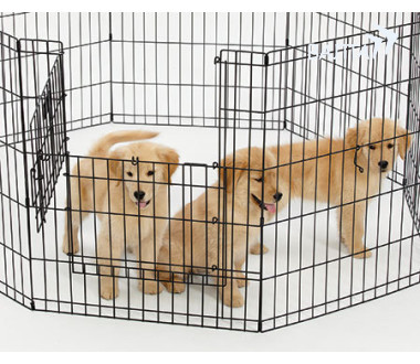 5230770b-312b-11e5-80ce-00155d298300_2