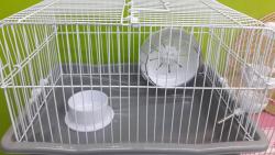 izobrazhenie_viber_2021-03-15_13-30-37