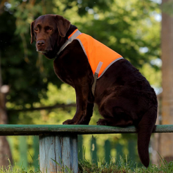 d390b529e403f248fdf0824ffedd5f8e