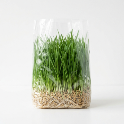 Травка Зоо43