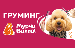 Груминг «Мурчи Виляй!» Груминг «Мурчи Виляй!»