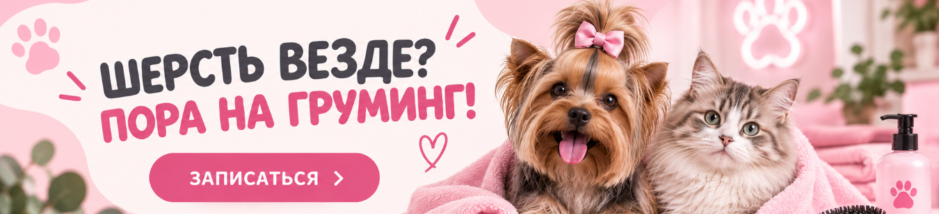 Сверху над шапкой