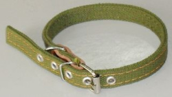 odinarnyy_zootehnologiya_35-70