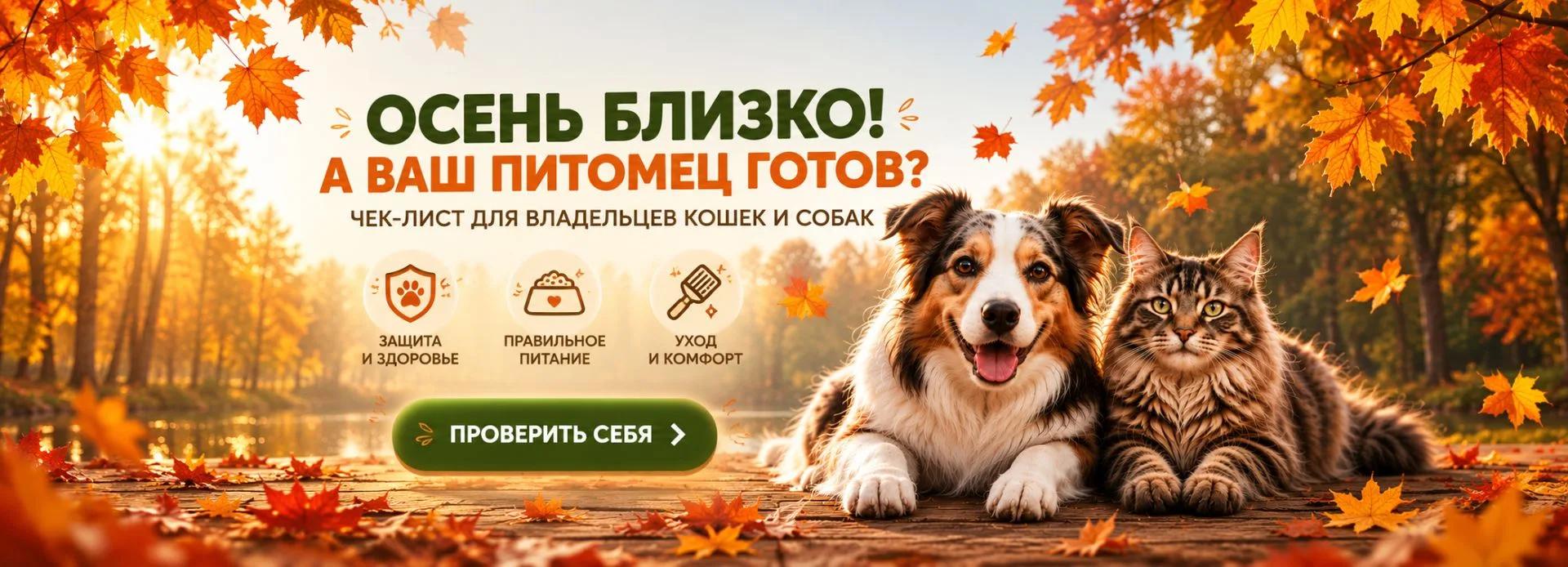 Над контентом