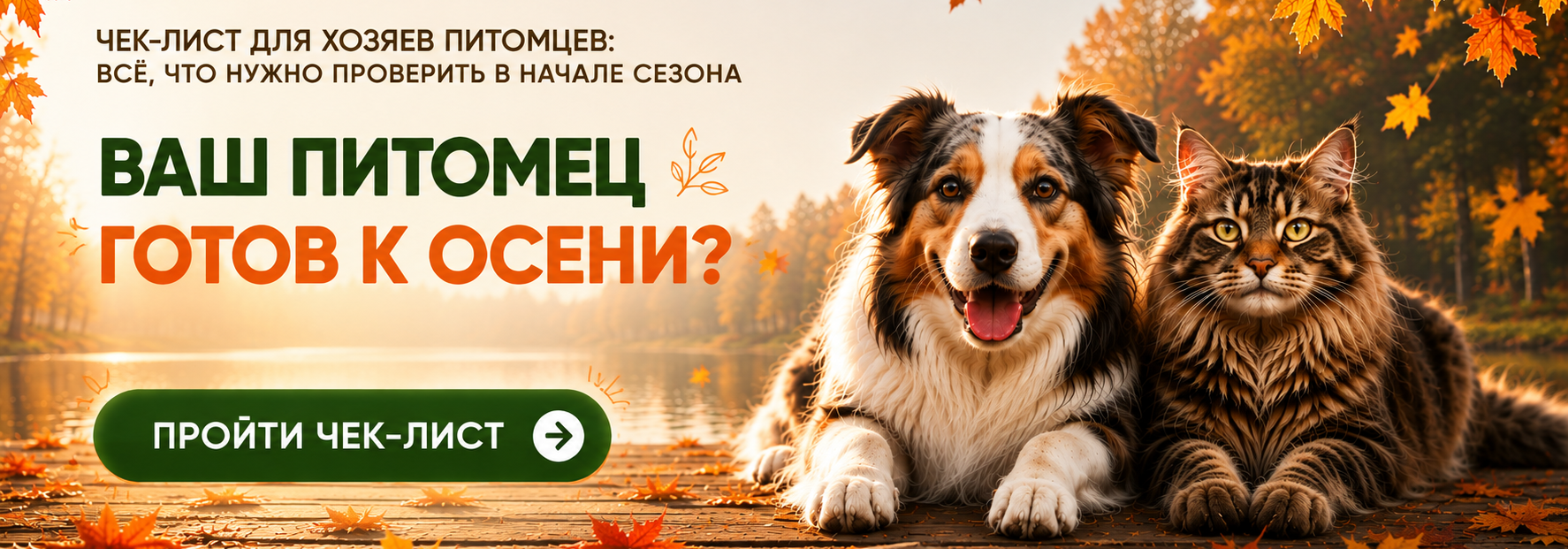 Над контентом