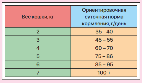 vb2nn0tpti7oib6qbhj55y5zl6nrvh0e