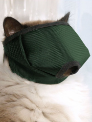 9a0054f445e4dd8666d41947f859cb75