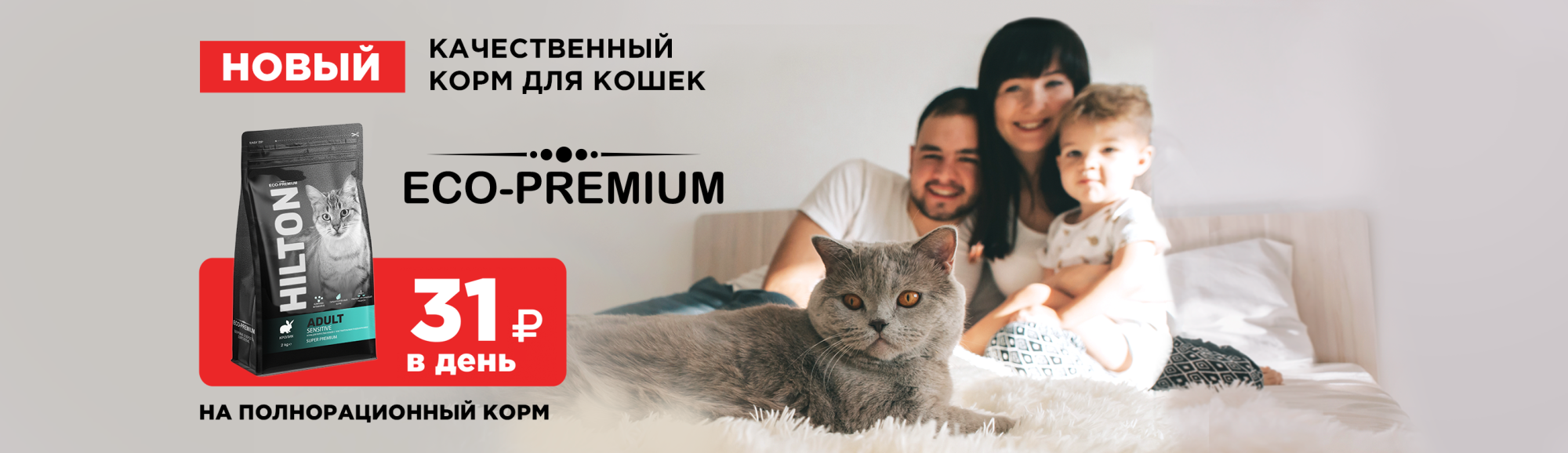 Hilton: 31 рубль в день на полнорационный корм для кошек Hilton: 31 рубль в день на полнорационный корм для кошек