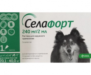 6lac224rrmbzlp52d8j0mcyjz336fdap