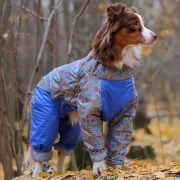 kombinezon-osso-fashion-na-sintepone-dlja-malchika