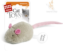 s_elektronnym_chipom