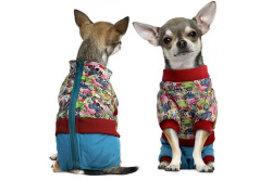 b8168a21721ae09b7be748e931645a1b-1200x800