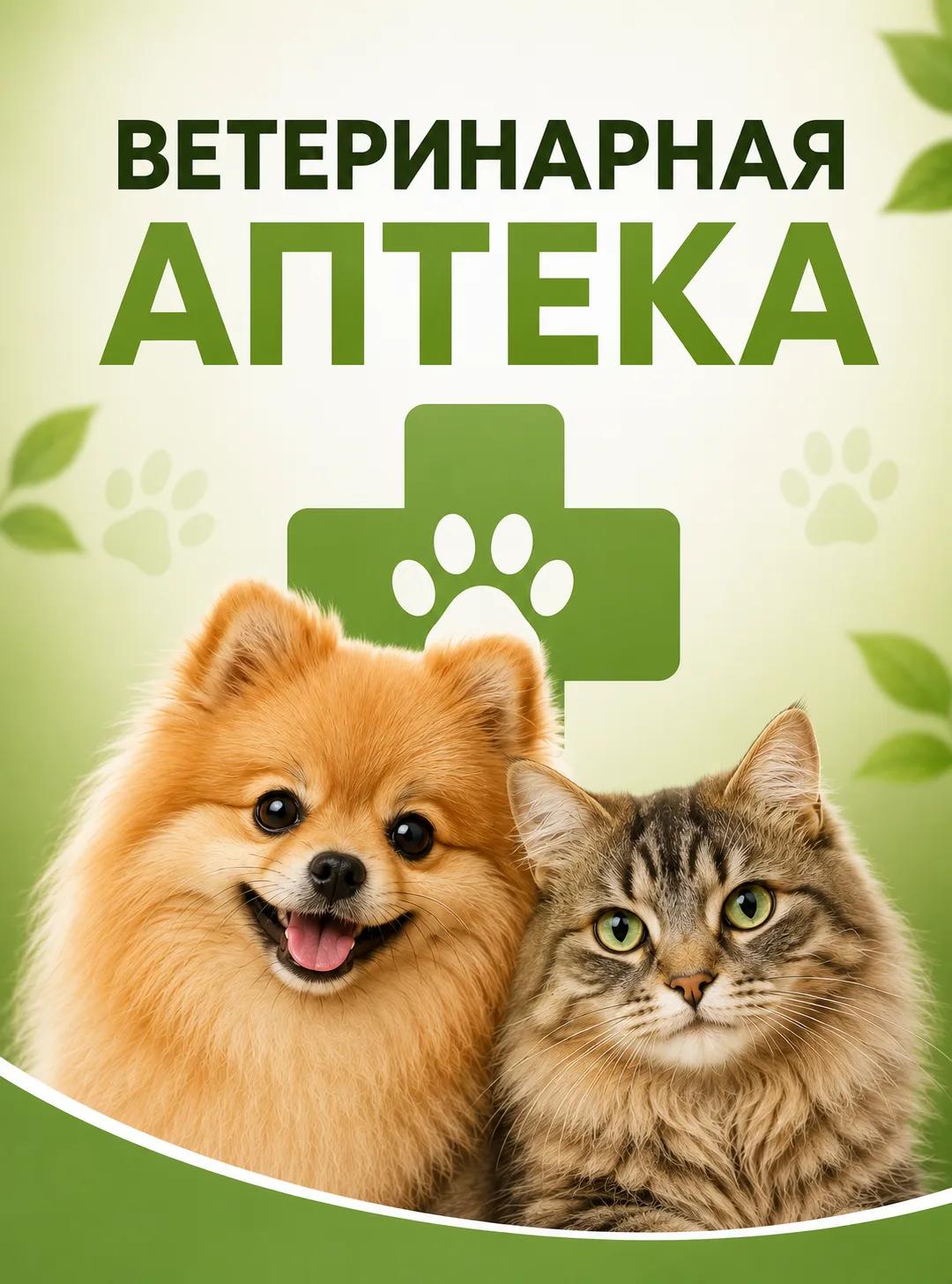 СЛЕВА ВНИЗУ