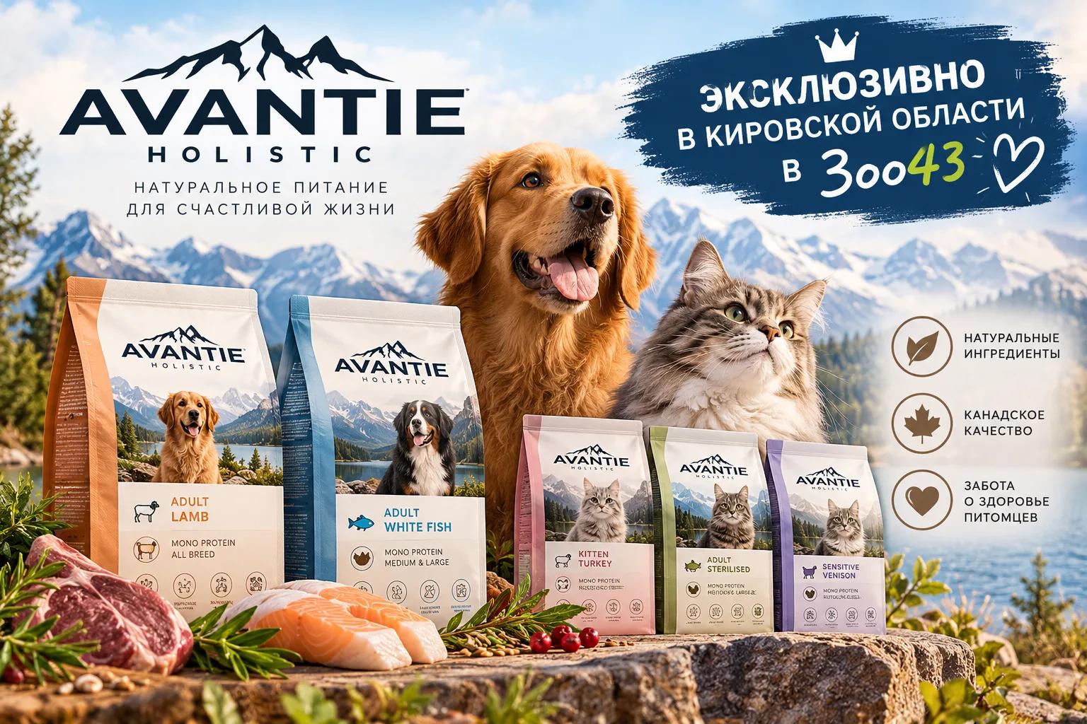 Корм Avantie теперь в Кирове — эксклюзивно в Зоо43 Корм Avantie теперь в Кирове — эксклюзивно в Зоо43