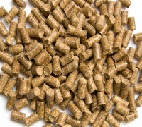 pellet1