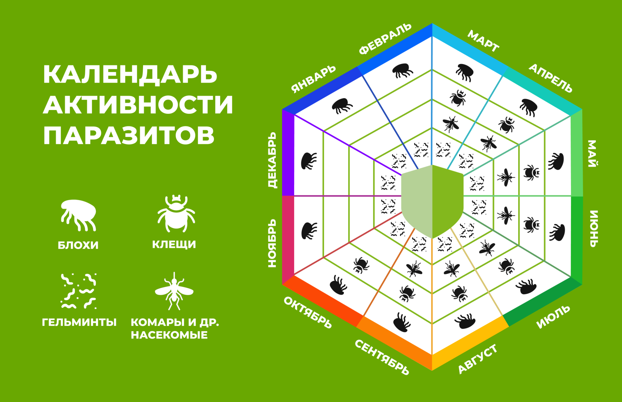 Чем обработать животное от клещей и блох? Чем обработать животное от клещей и блох?