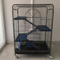 5bd4d3f82aecd666b77343b6