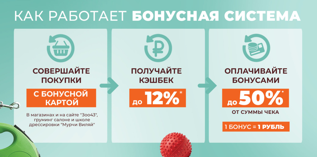 _главная_1006х500_бонусная_02