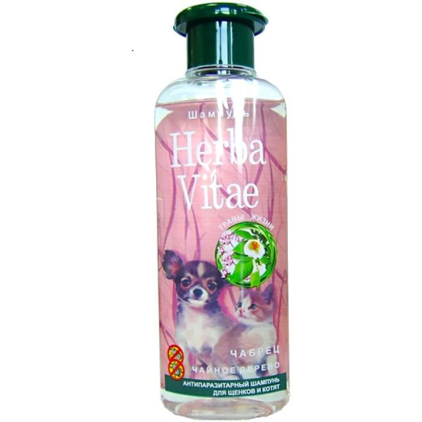 a58ff048fc4f98689b6ebc4b519c6f7f