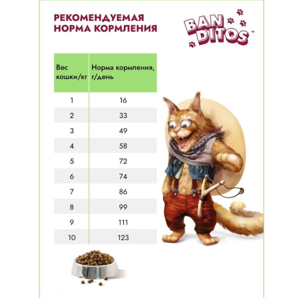 4бандитос