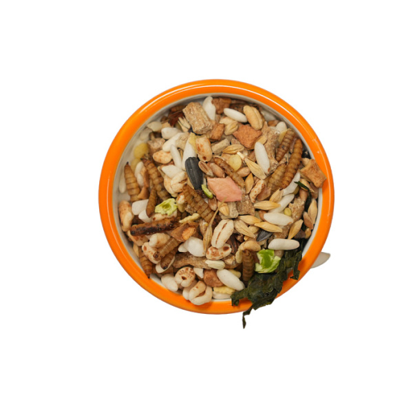 e6b4a3c3e9f9cf50d155cdefc1bb178e