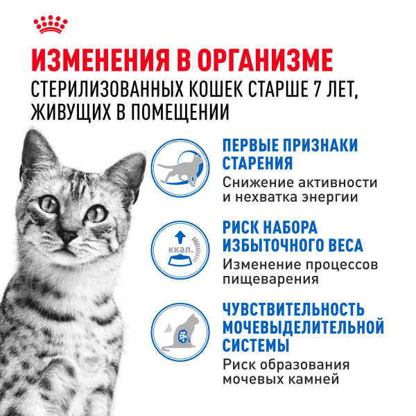 инд2