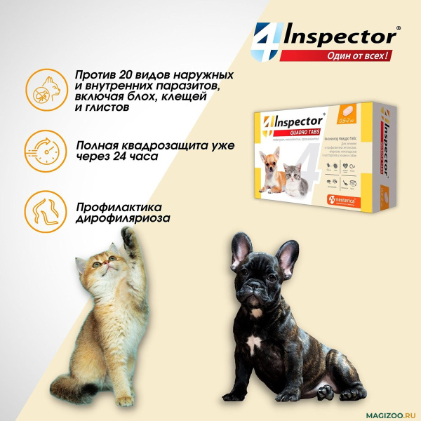 INSPECTOR_QUADRO_TABS_DO2KG_79629_2