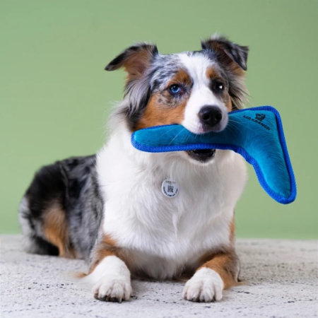 3Mr.Kranch Игрушка для собак мелких и средних пород Бумеранг с пищалкой 22х19х4,5см, синий