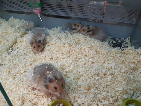 izobrazhenie_viber_2020-12-28_16-11-14