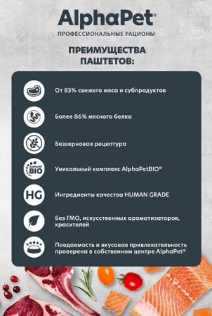 4 — копия