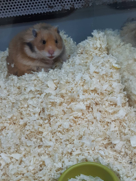 izobrazhenie_viber_2020-12-28_16-11-13