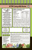Kitten_Turkey-Wildberry_400_150x230_back