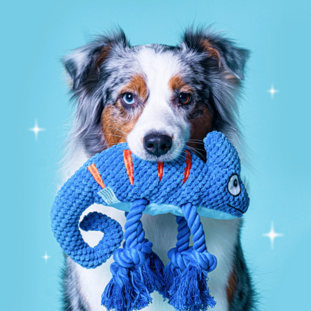 -ZIz4k9ntAs - копия