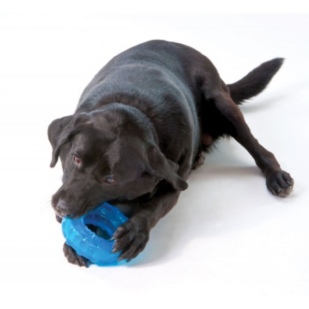 petstages-orka-tire-500x500