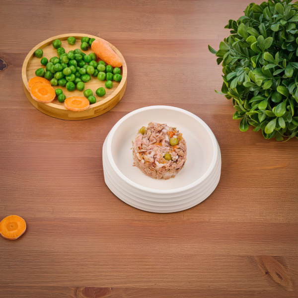 6723d3cfe407ef26057f6b38df796563