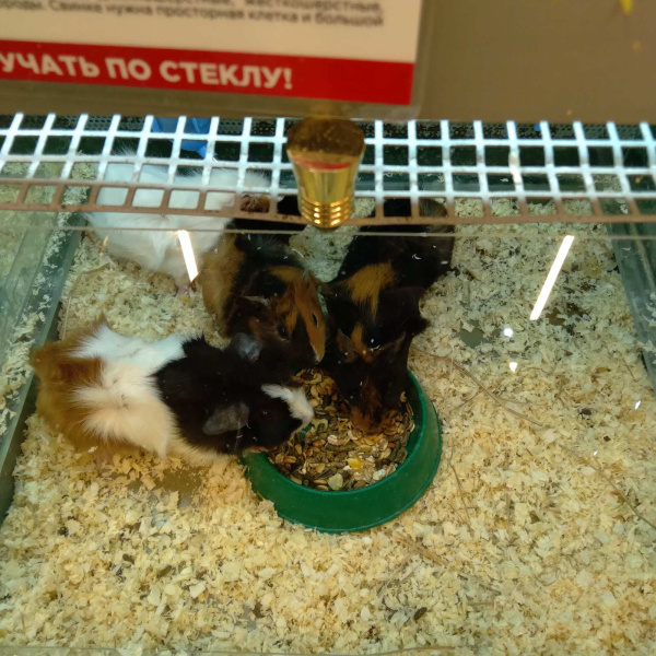 izobrazhenie_viber_2020-12-28_16-16-32