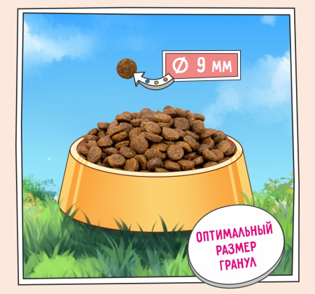 9ffwckq85ak5s6xemmzicaozadv2ax15