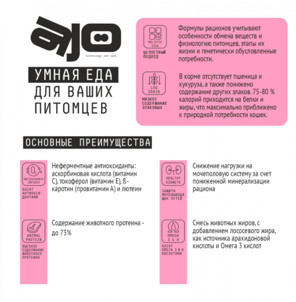 кошки котята плюсы