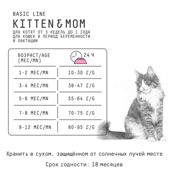 кошки котята нормы кормления