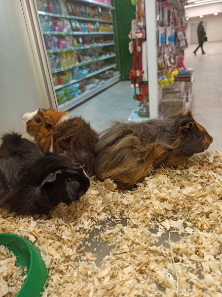 izobrazhenie_viber_2020-12-28_14-24-47