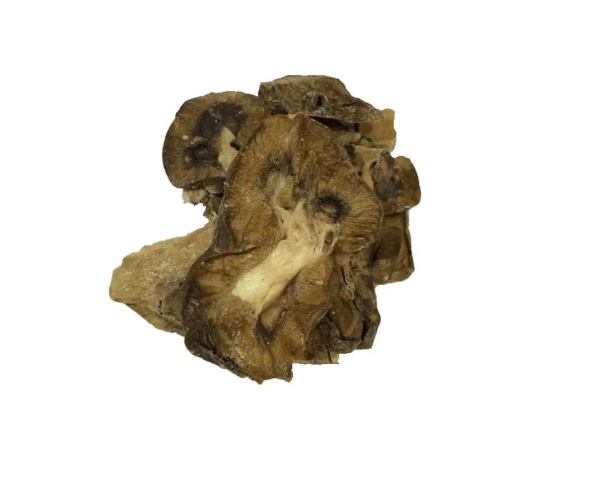 06-2021_Selafort_120mg-1ml_new