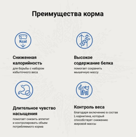 Screenshot_7