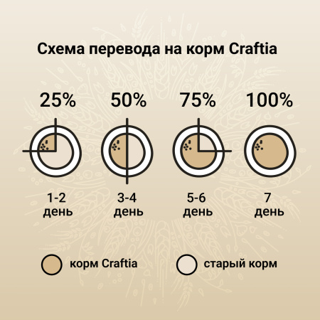 9a36b328ec4acf09ee03bd03ee20f849